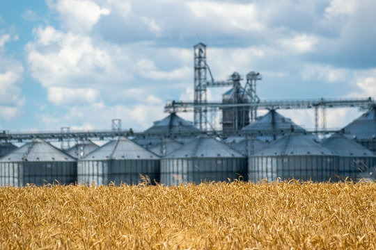 Field and elevator