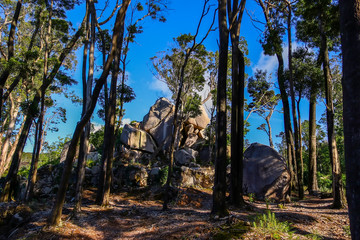 National natural park in Sintra, Portugal.