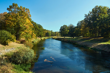 Fototapeta premium Trees on the banks of the Lusatian Neisse during autumn on the border .between Poland and Germany.