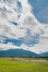 Many tourists ride electric tricycles on the field roads.Landscape View Of Beautiful Rice Fields At Brown Avenue, Chishang, Taitung, Taiwan