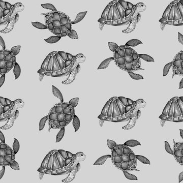 Beautiful turtle art water color background illustration