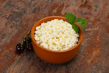 Fresh tasty curd in the bowl