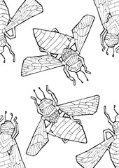 Insects. Hand drawing coloring for kids and adults. Beautiful drawings with patterns and fine details. One of a series of colored pictures.