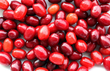 Cornelian cherry fruits, sweet and sour taste