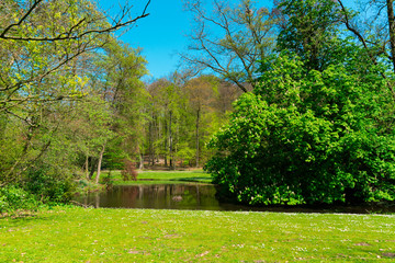 Ditch And Trees Park Sonsbeek