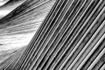 Obraz premium abstract close up view of waves of wooden slats and planks as a background