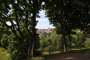 Landscape overlooking the historic center of Vilnius.