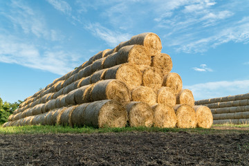 Pyramid of hay barrels stacked in a field near animal farm - obrazy, fototapety, plakaty