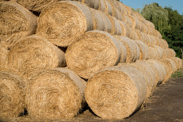 Pyramid of hay barrels stacked in a field near animal farm