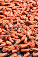 Shrimps on dark grunge background. Top view