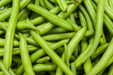 frische grüne Bohnen 