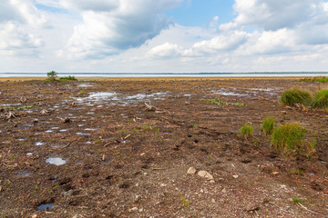 Dehydrated lake in summer