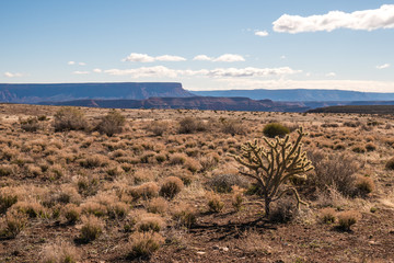 Grand Canyon view and the desert in Arizona