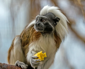 What the hell is that!!!