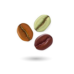 Coffee beans realistic set showing various stages of roasting isolated on white background vector illustration