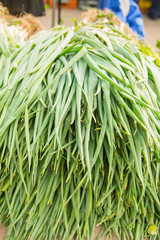 Close-up of chives at a public market