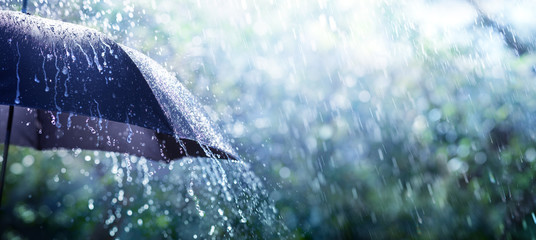 Rain On Umbrella - Weather Concept - obrazy, fototapety, plakaty