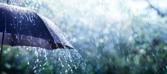 Fotobehang Regen op paraplu - weerconcept © Romolo Tavani