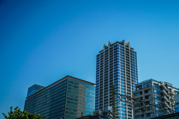 Naklejka premium 晴天の青空と秋葉原のビル群