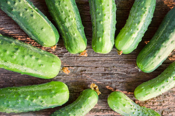 Fresh organic cucumbers on the old wooden background