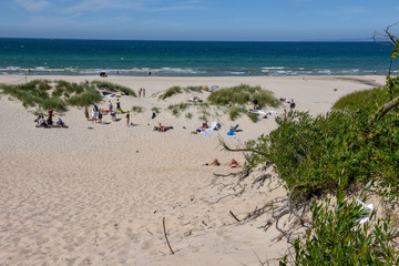 Fototapeta na wymiar The beach of Hornbaek in Denmark