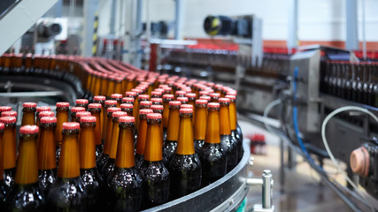 Beer bottles on the conveyor belt. Shallow dof. Selective focus.