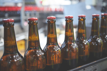 Beer bottles on the conveyor belt. Shallow dof. Selective focus.