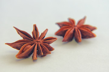 Star Anise (lat. Illicium verum). Spice badyan.