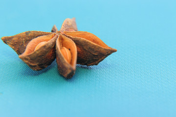 Star Anise (lat. Illicium verum). Spice badyan.