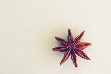 Star Anise (lat. Illicium verum). Spice badyan.