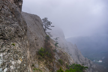 Fototapeta na wymiar Rocks in the fog