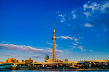 Naklejka premium 東京スカイツリーと晴天の空