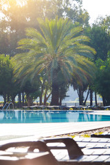 Benches for relaxing near the pool with blue water and palm trees Sunbed for relaxing by the pool.