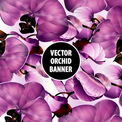 vector orchid banner, realistic flower pattern, template design for wedding invitation, valentine's day, women's day, romantic birthday wishes, anniversaries and other lovely events around the world - 280740198