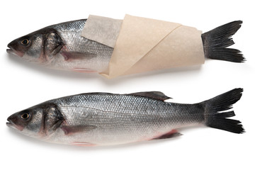 Two Sea bass fish isolated on white background