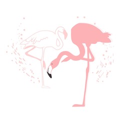 Pink flamingo silhouette, flock of flamingos, drawing, vector illustration