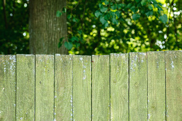 Top of the old rustic fence with green trees behind it