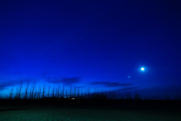 Naklejka premium アイスランドの朝明けと並木道