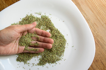 Female hands hold dry rosemary. Hands take the green rosemary dry seasoning. Female hand holds a...