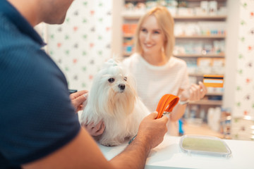 Close up of man buying orange dog lead for white fluffy dog