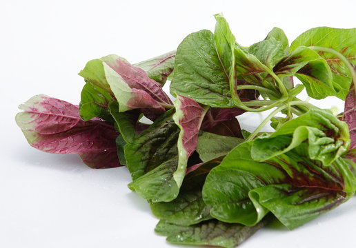 bayam , spinach , amaranthus