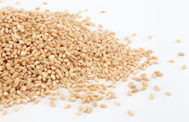 wheat grains