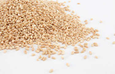 wheat grains