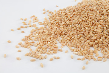 wheat grains