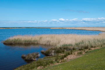 Vogelschutzebiet an der Nordküste von Fehmarn