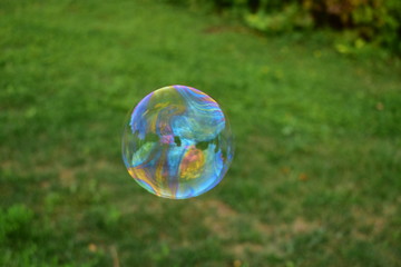 the whole world in bubble