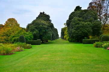 British public garden and park. Kew gardens in London. 