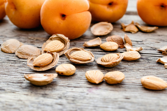 Apricot and apricot seeds on the background of old boards. Apricot pits for the manufacture of tablets and drugs.