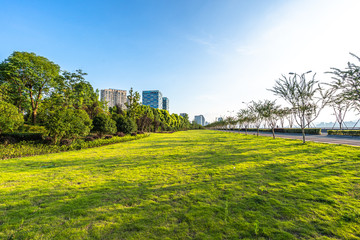 Naklejka premium park