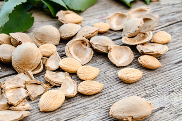 The core of apricots and stones on the background of old boards. Apricot pits for the manufacture of tablets and drugs.